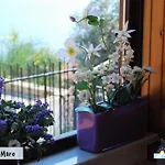 Apartman Casa Bellavista *