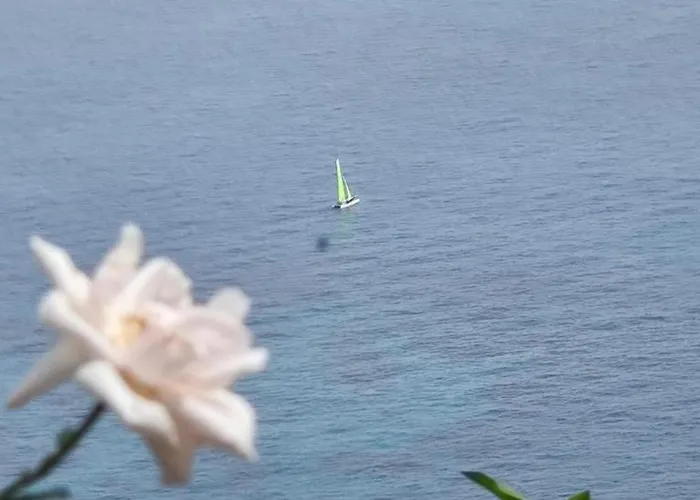 Lejlighed Casa Bellavista Bergeggi